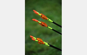 2015-11-08-07 - 2X18m - EVREUX