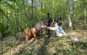 2011-04-02 - 3D - EVREUX-BROSVILLE