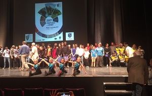 Trophées du sport 2017