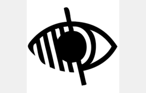 A l'heure du handisport spécial déficient visuel