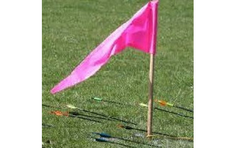 Tir au drapeau