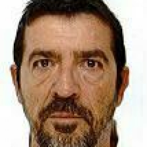 Palourde